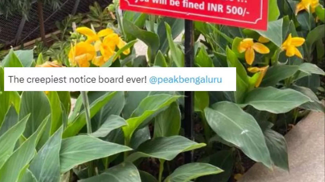 Bengaluru-Viral-Post-Notice-Board