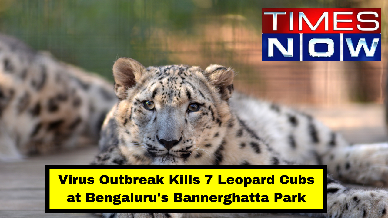 Virus Outbreak at Bengaluru's Bannerghatta Park