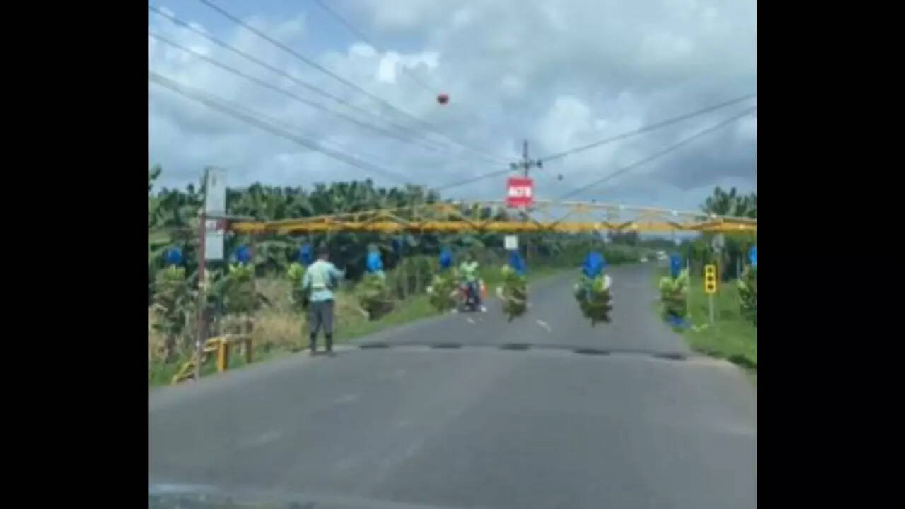Shocking 'Banana Train' Holds Up Traffic In Costa Rica In Viral Video