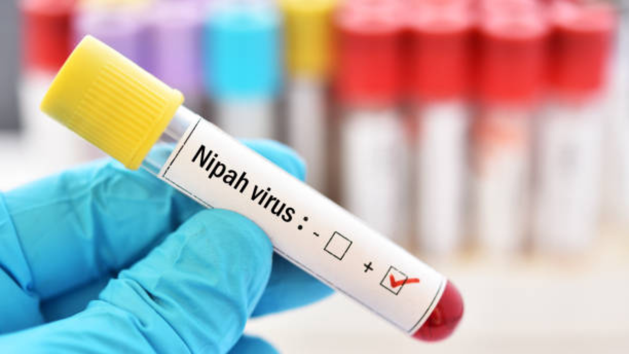 nipah