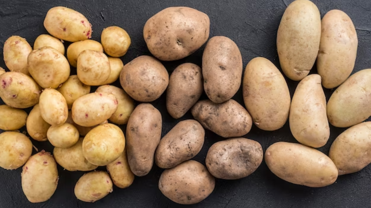 History and Origination of Potatoes in India