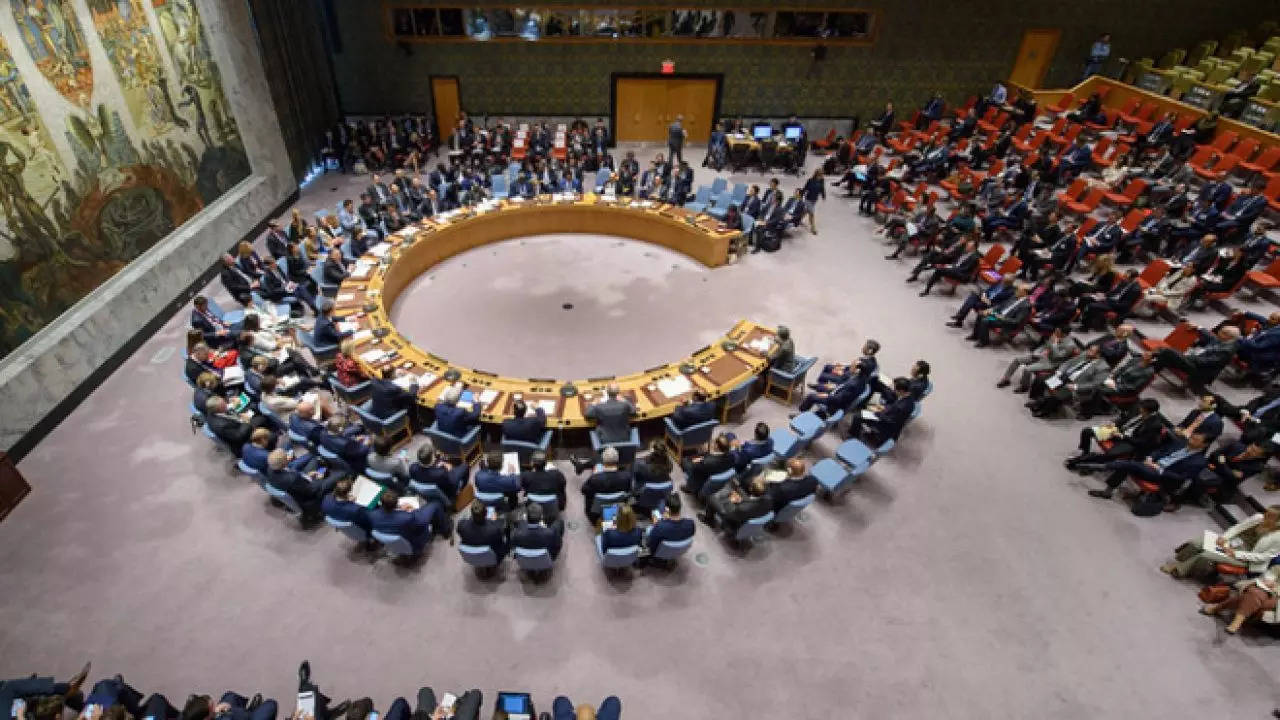 'Deserves Louder Voice On The World Stage': UK Backs India's Permanent Seat At UNSC