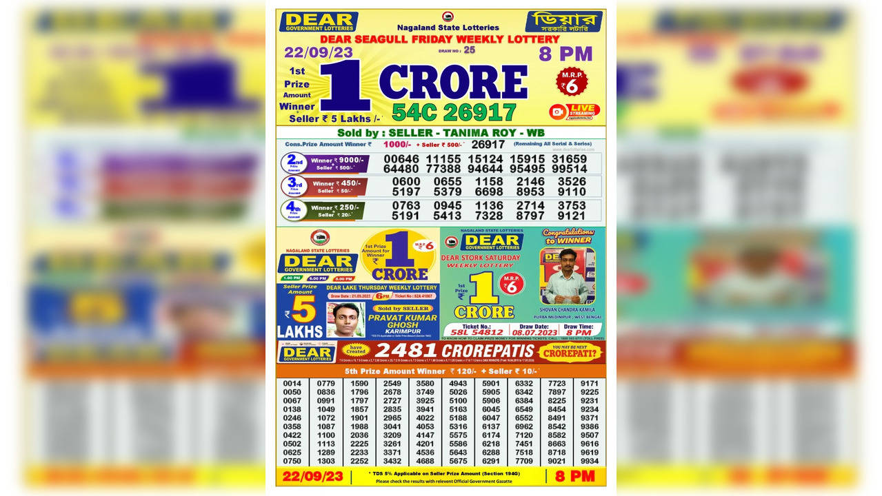 X lotto draw clearance 3925