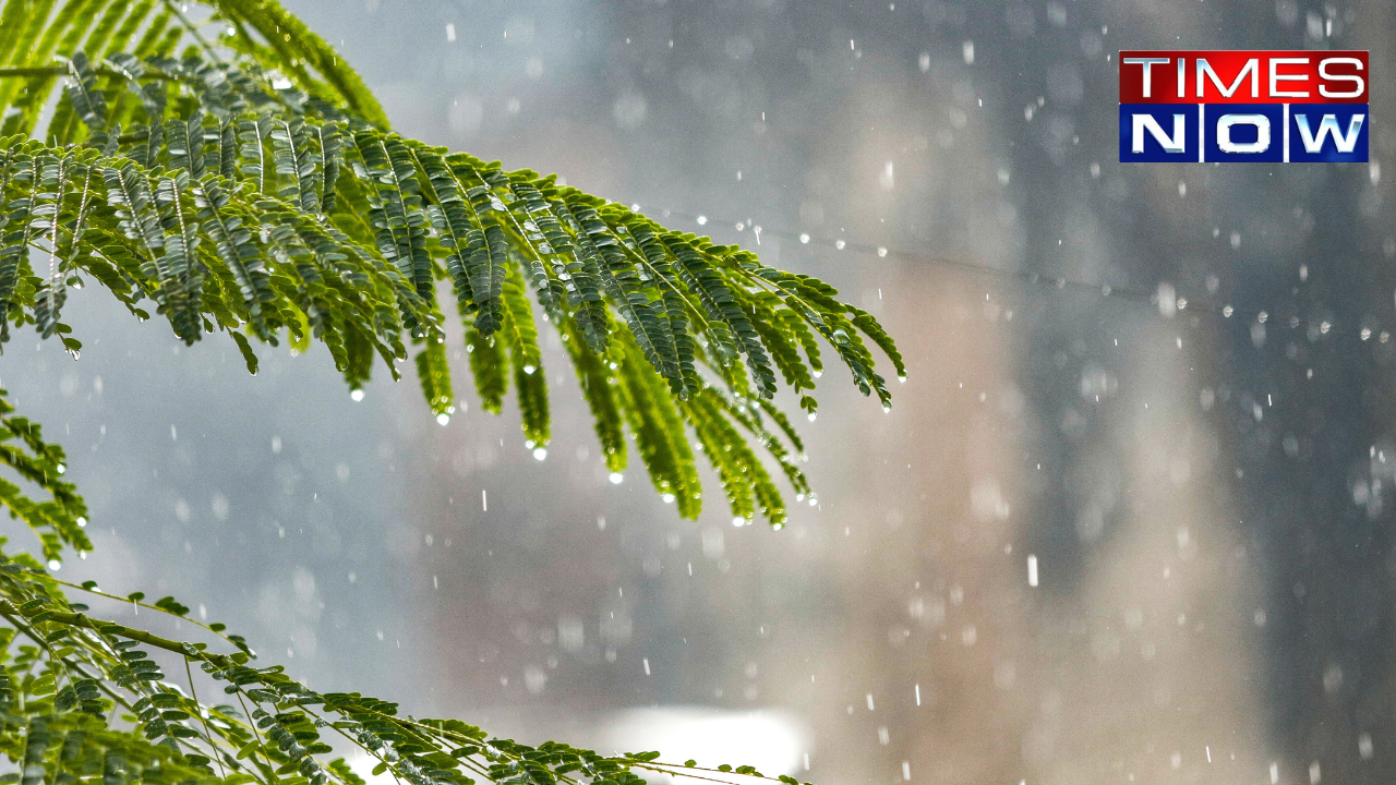 Hyderabad Receives Heavy Rainfall On Friday, Yellow Alert Issued for North Telangana Districts