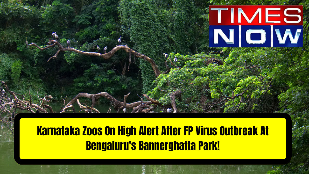 Karnataka Zoos On High Alert