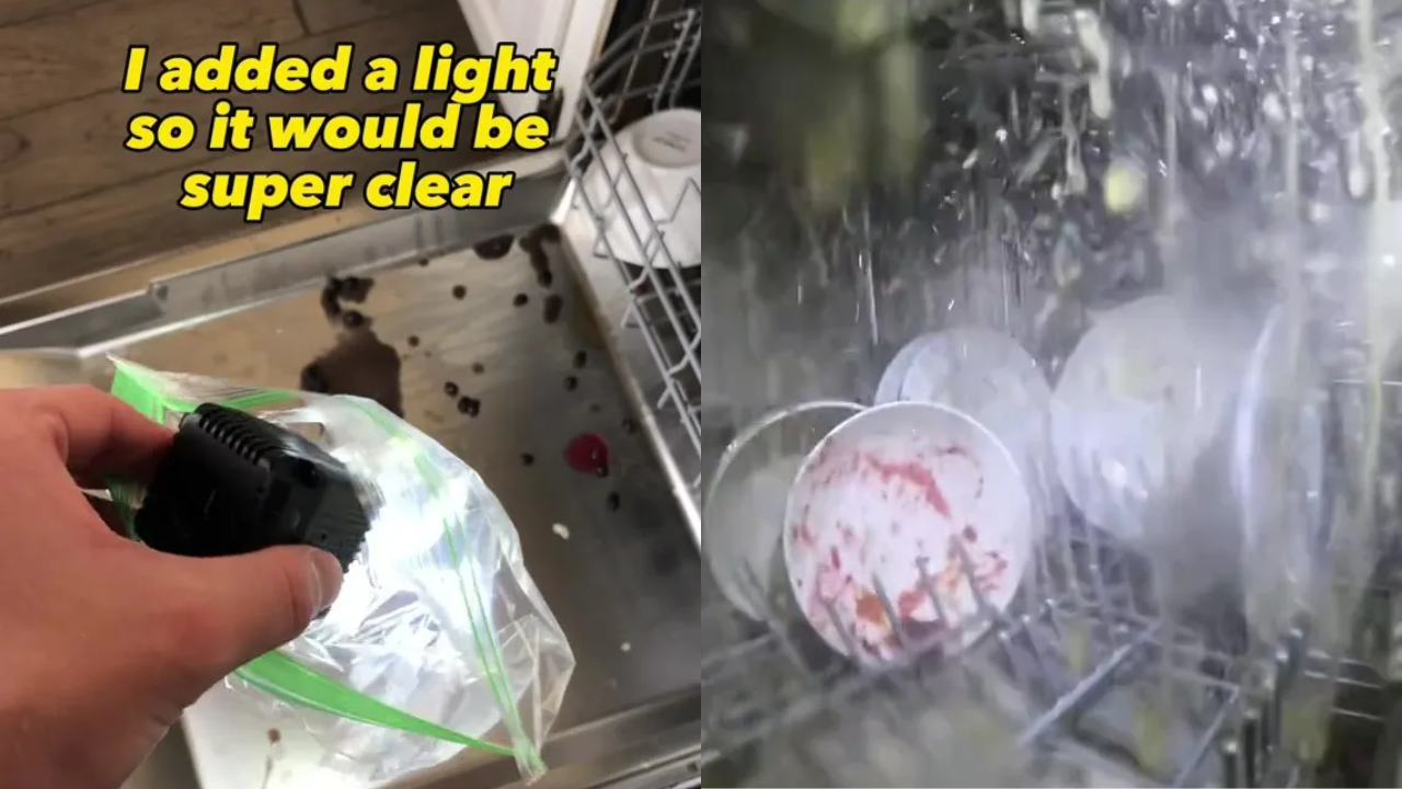 Man Puts GoPro Camera Inside Dishwasher, Results Leave Netizens
