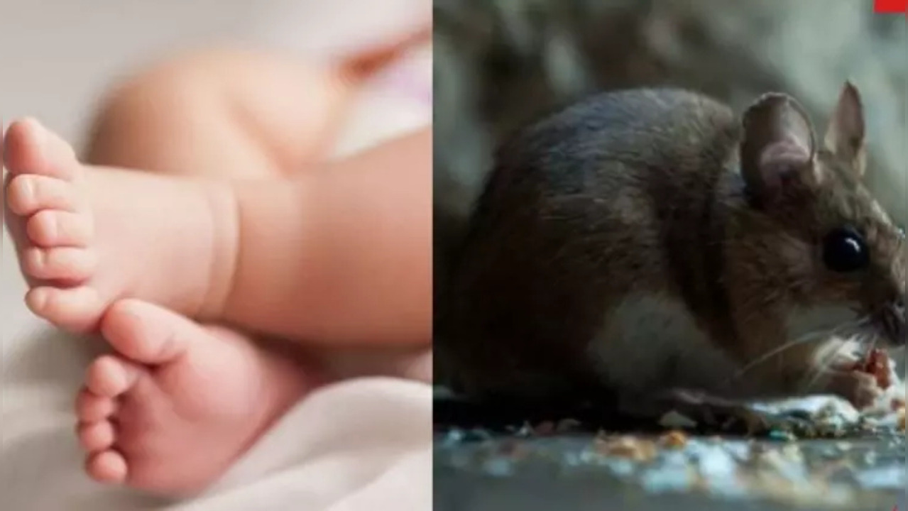 50 RAT Bites On Face, Hands, Baby Nearly Bleeds To Death | Times Now