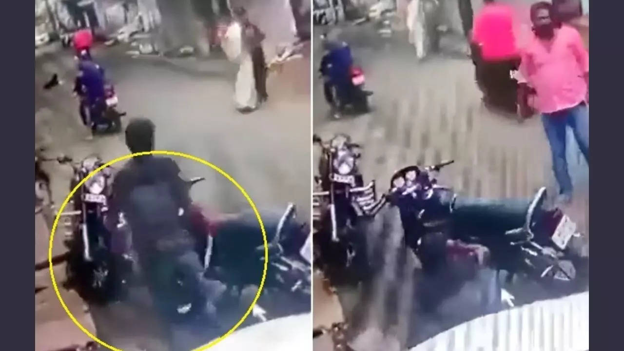 Man dies from Cobra bite (Photo: Screengrabs from video)