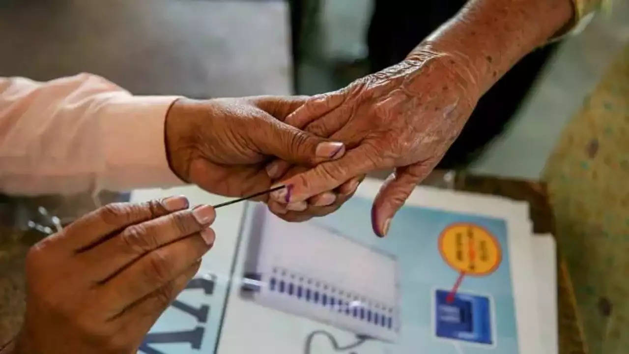 'Excited': 93-Year-Old Man To Vote For The First Time In Chhattisgarh Polls (Representative Image)