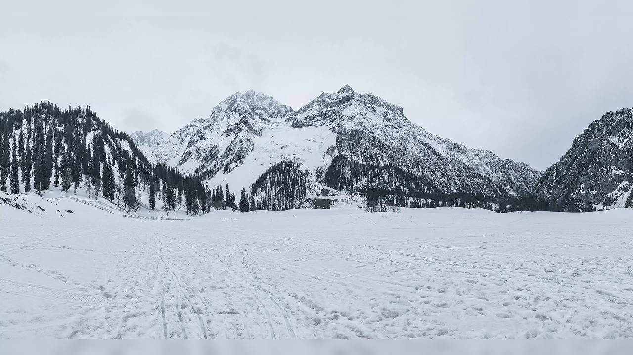 Gulmarg Turns Into Winter Wonderland After Season's First Snowfall (Rep Photo)