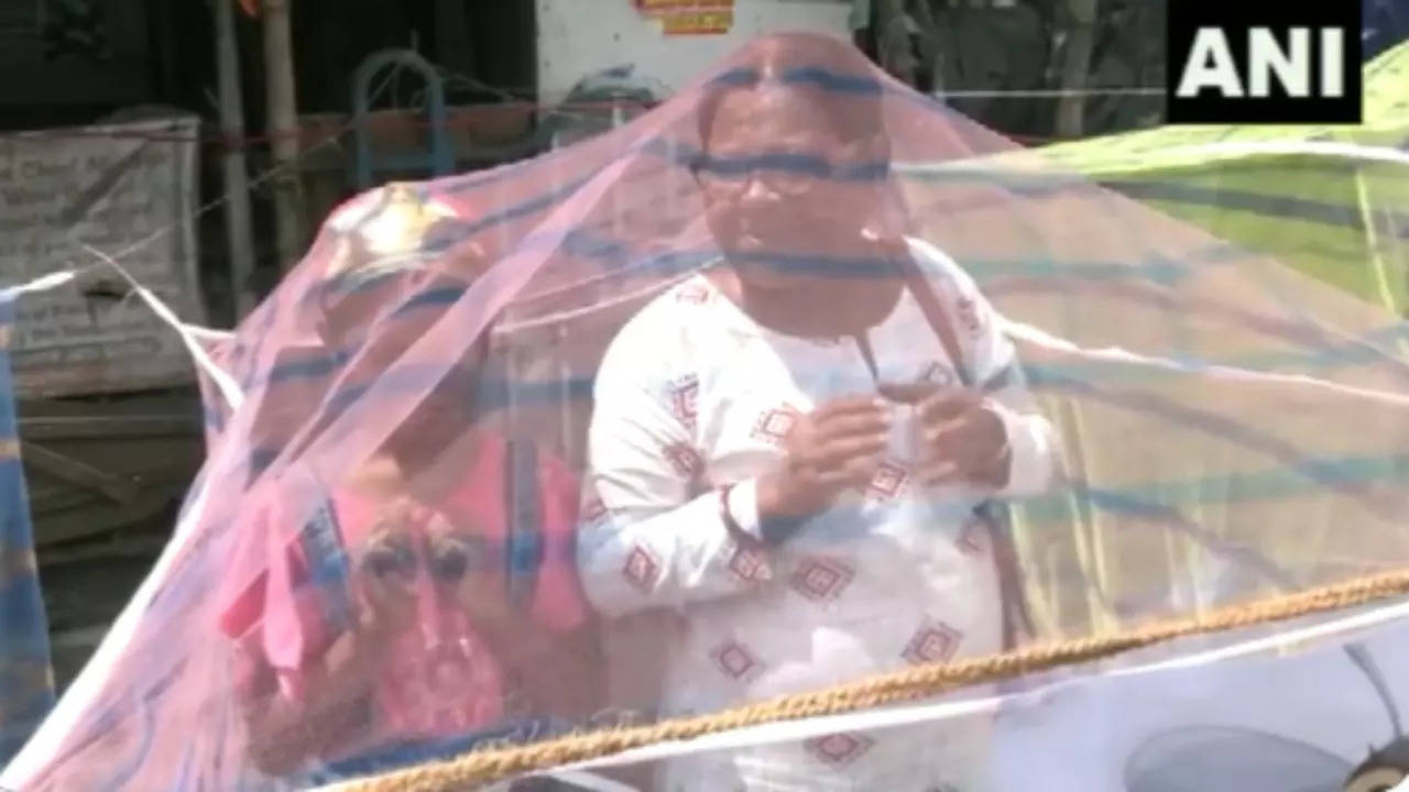 Kolkata Congress Protests With 'Mosquito Nets' Over Rise Of Dengue Cases