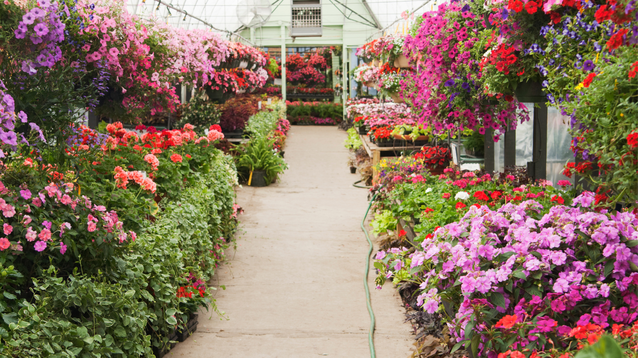 Mumbai's Iconic Hanging Garden