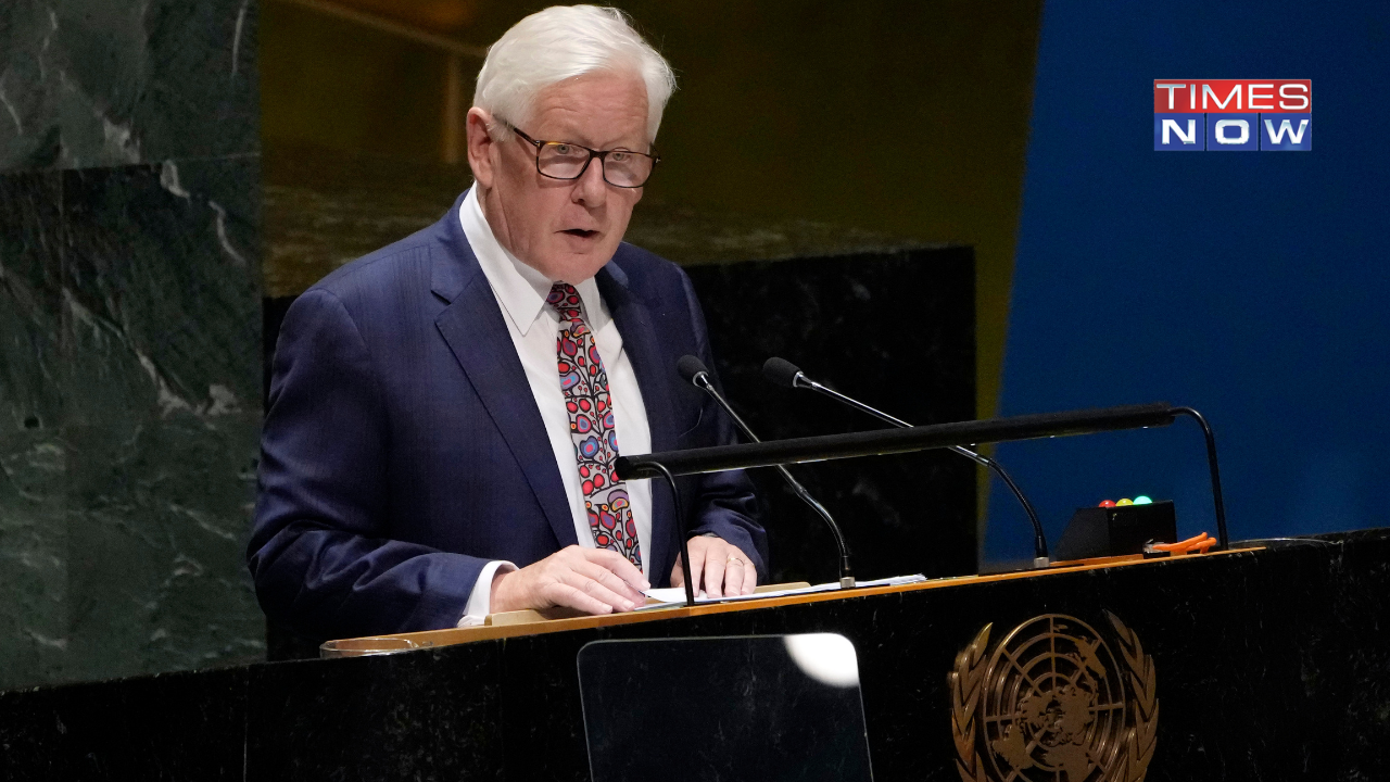 Democracy Under 'Threat' Due to Foreign Interference, Canadian Envoy to UN Raises Concern