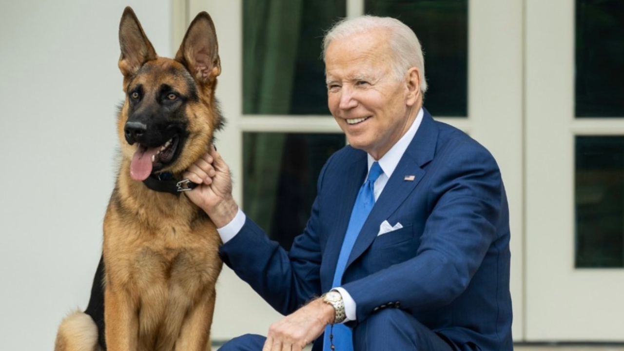 us president joe biden with his dog