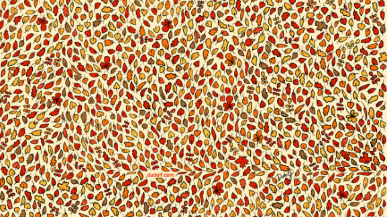 Optical Illusion Test: Find 4 apples hidden among the autumn leaves. Pic Credit: Twitter (Gergely Dudas)