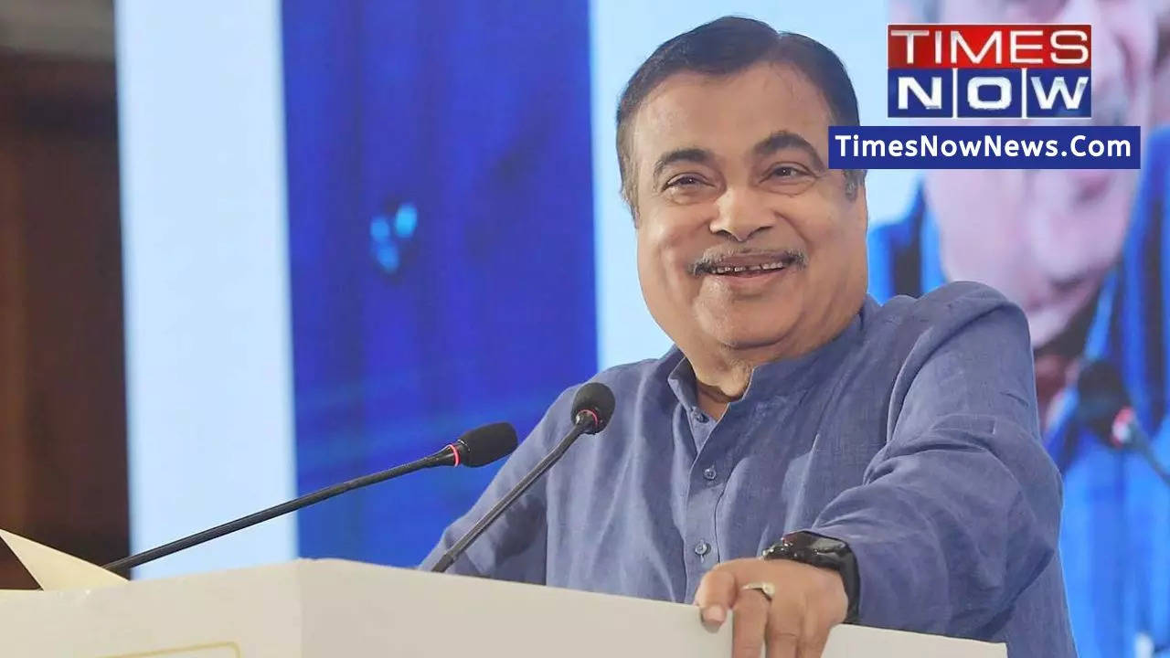 'Highways In India To Be Pothole Free By Dec 2023': Nitin Gadkari Sets Goal