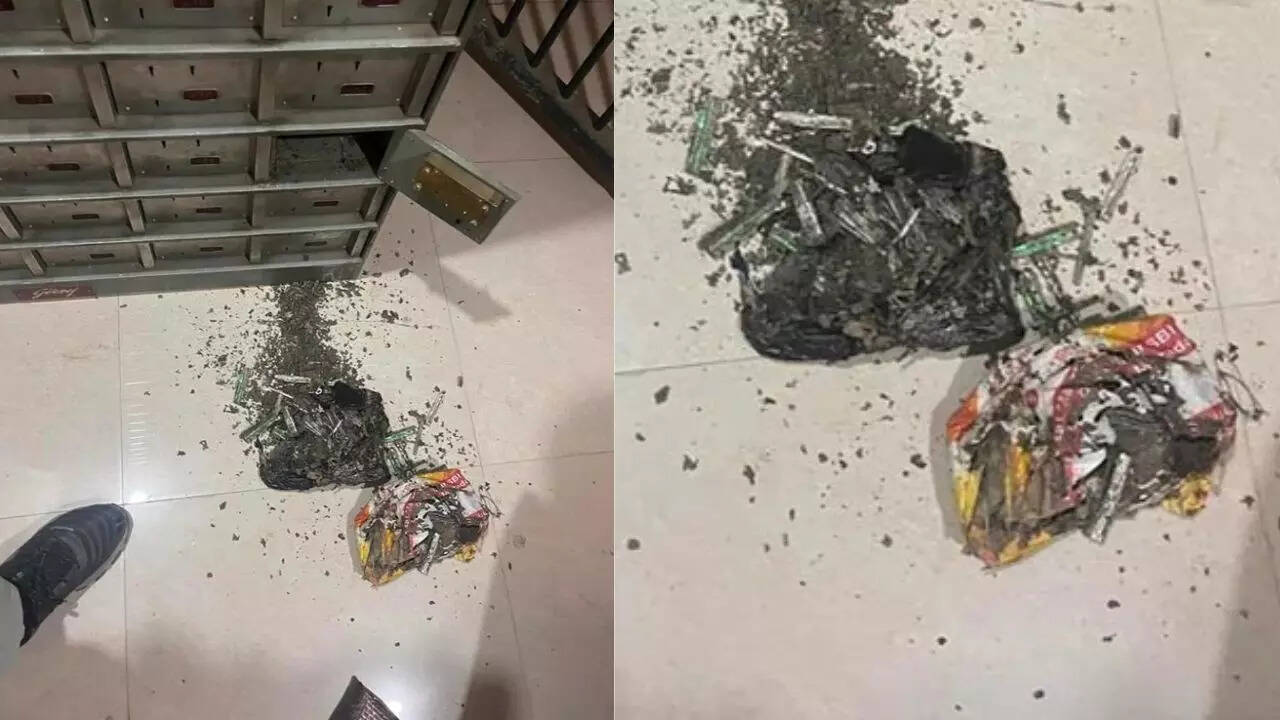 Bank Locker Attacked BY Termites