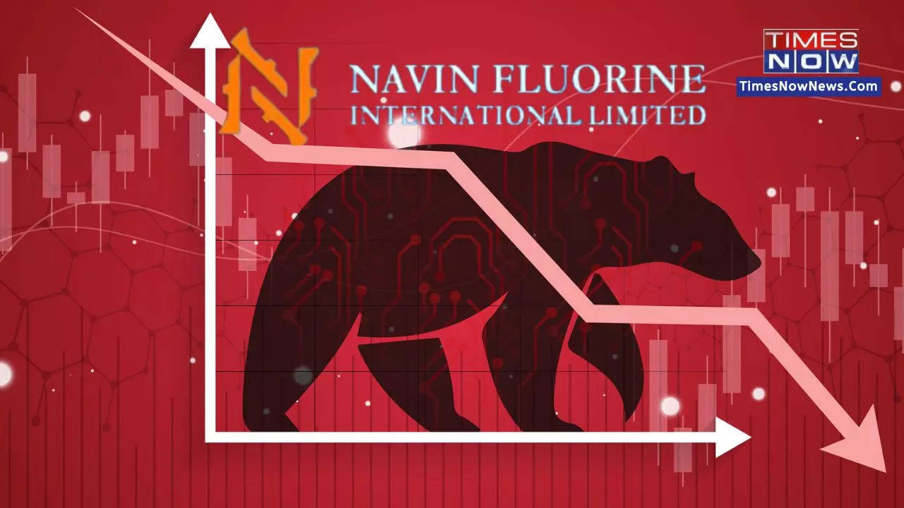 Navin Fluorine Share Price Hits 52-Week Low To Tank 14 pc; Check Reason