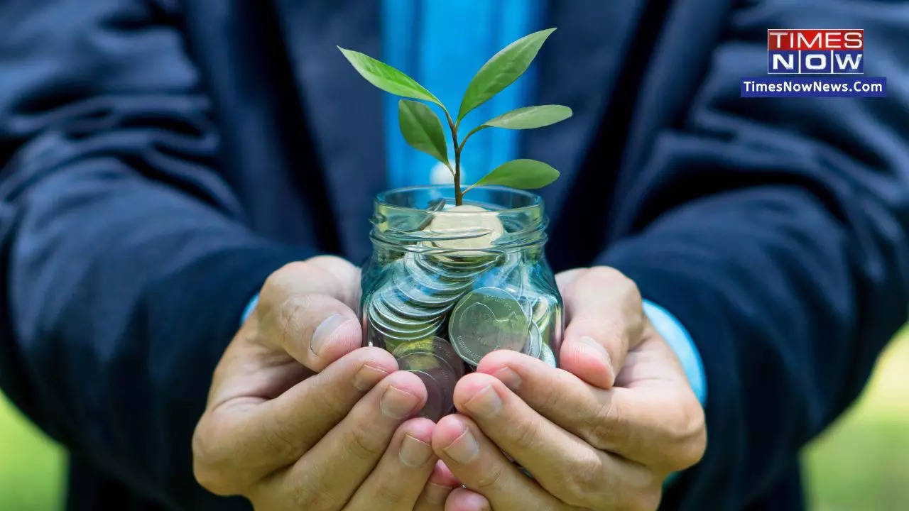 Don't Invest In Stock Market? Top Investment Tips To Turn Crorepati Through Small Savings Schemes | Full Details