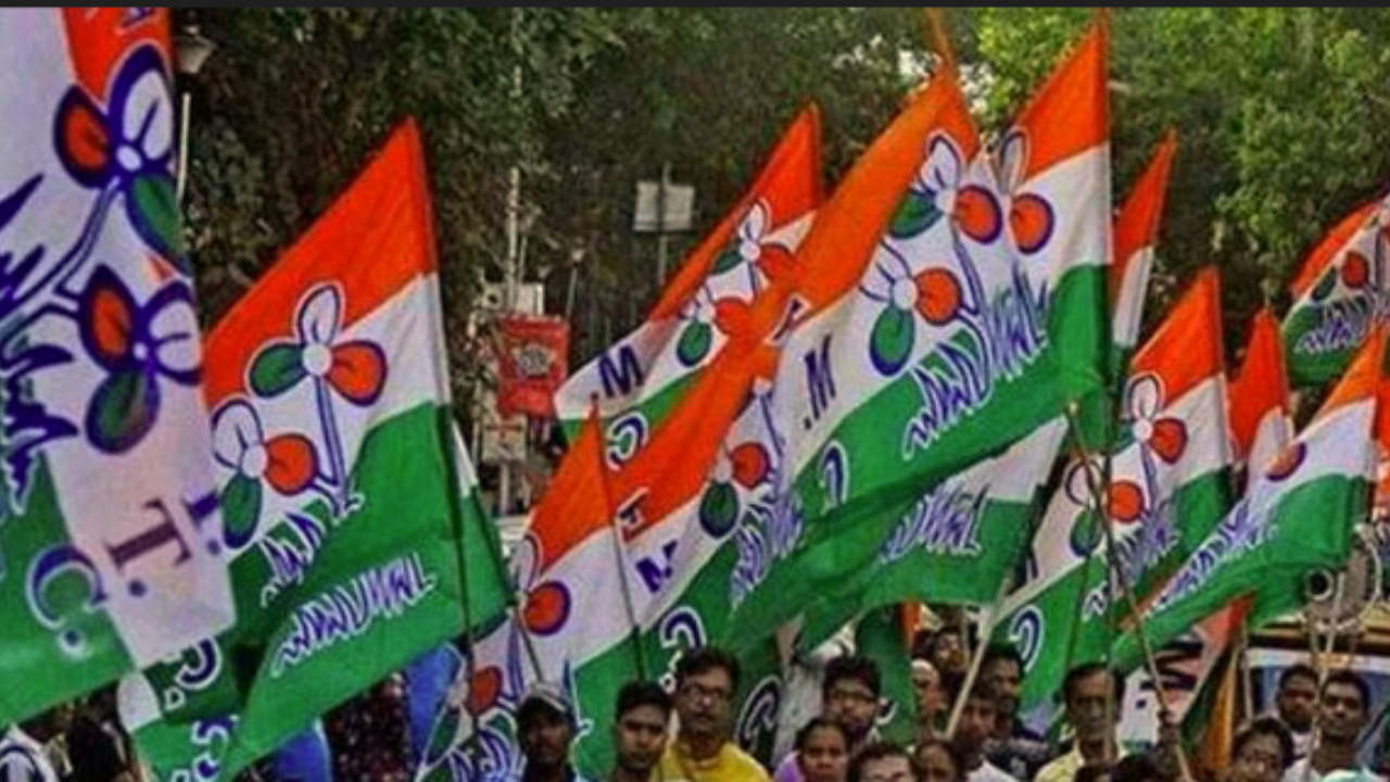 TMC Flags