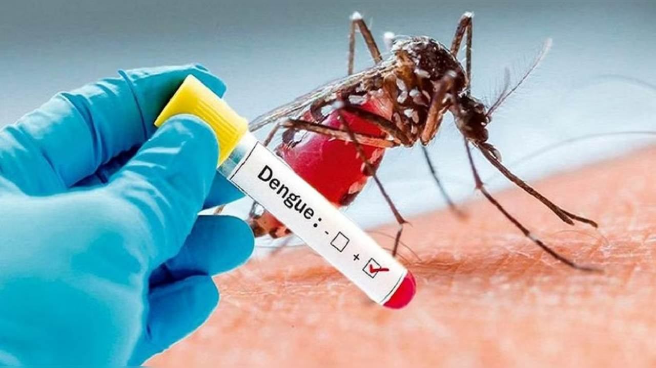 Bihar Logs 6,146 Dengue Cases in September, Highest in Last Five Years (Representative Image)