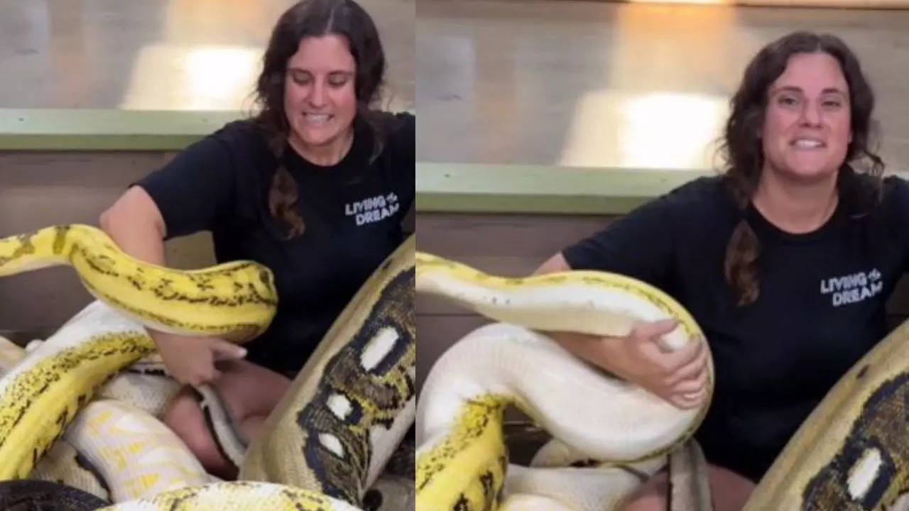 Video of girl fearlessly playing with giant snake shocks netizens