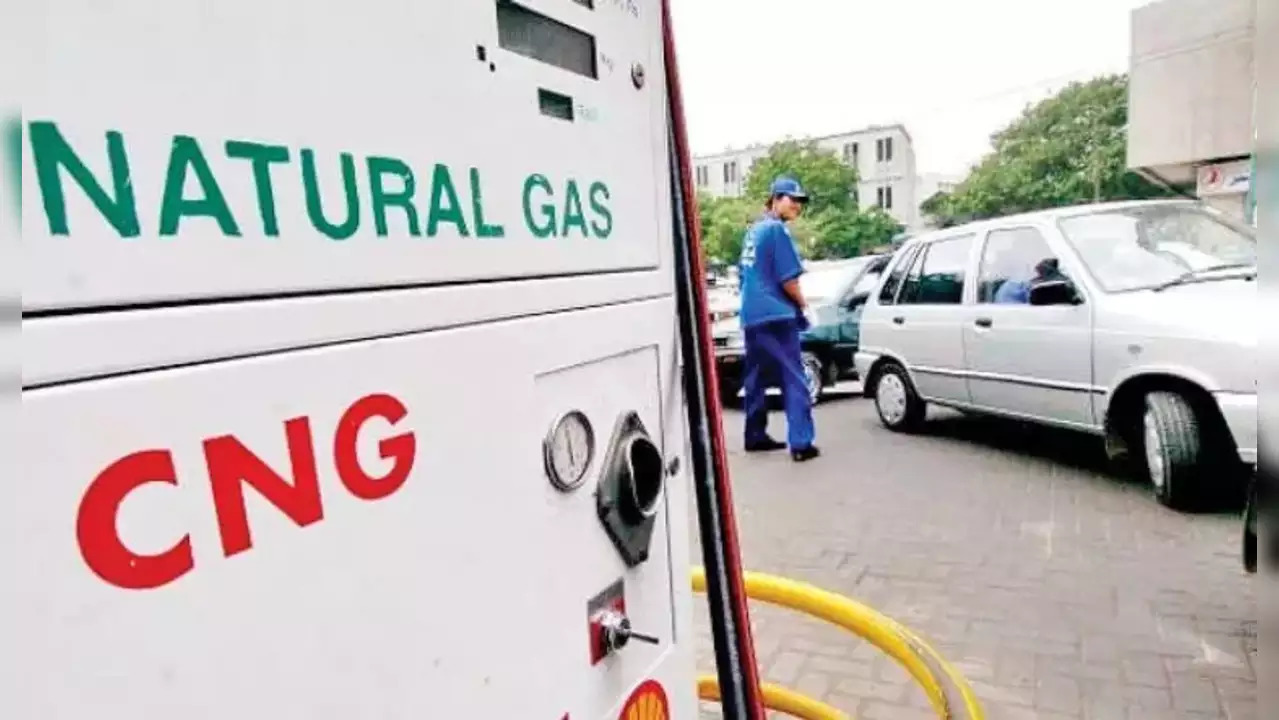 MGL Cuts CNG Price By Rs 3, Domestic PNG by Rs 2 | Check New Rates