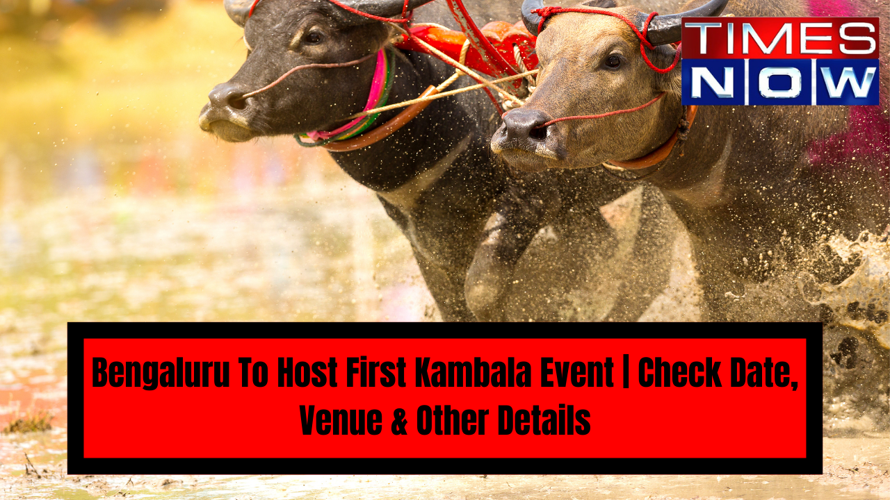 Kambala Event