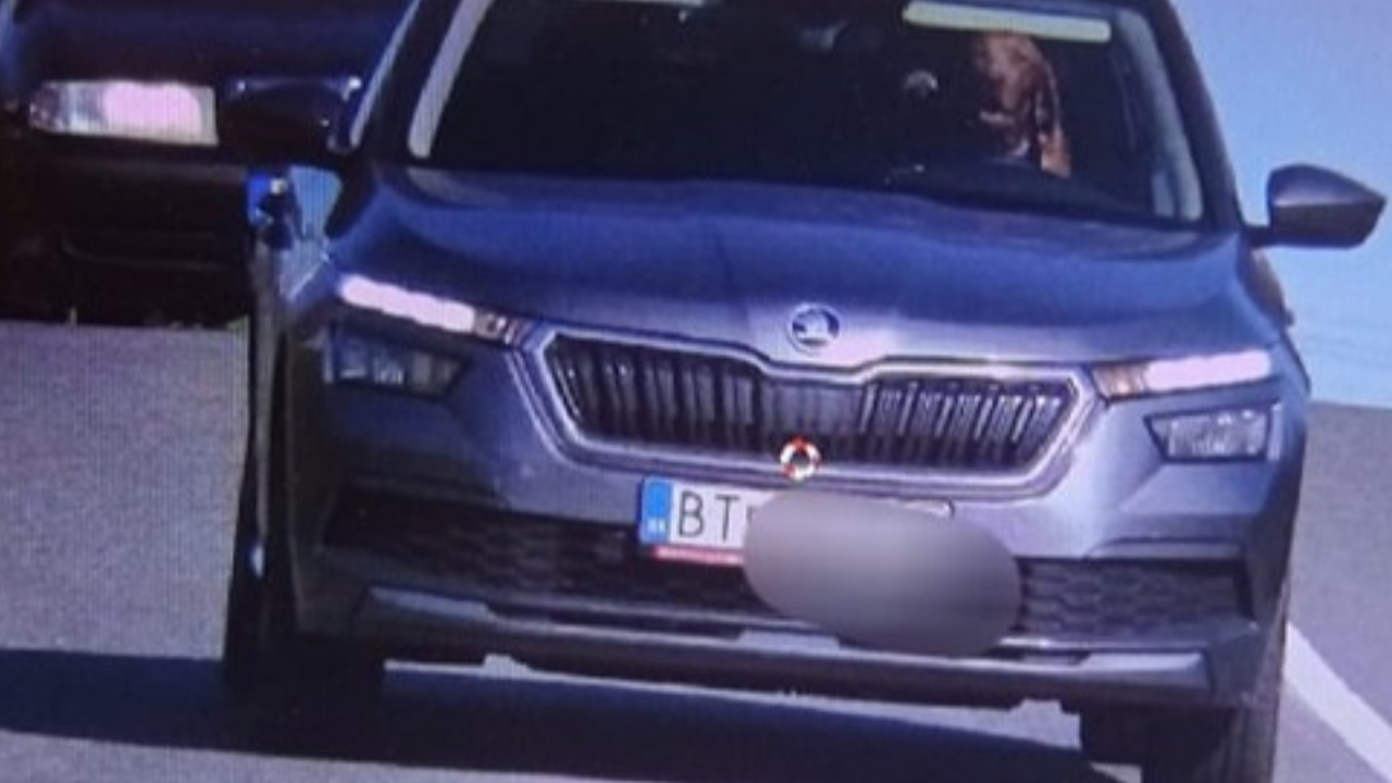 Dog Spotted Behind Wheel Of Speeding Car.