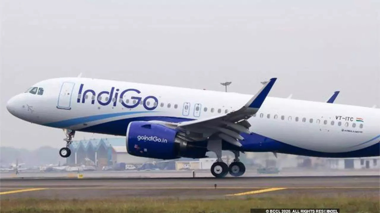 IndiGo Passenger Arrested for Allegedly Trying to Open Emergency Door Before Takeoff: Cops