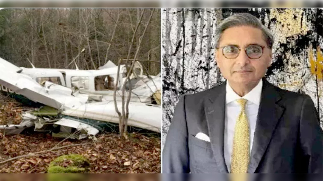 Indian Mining Tycoon Harpal Randhawa, Son Among Six Killed in Zimbabwe Plane Crash