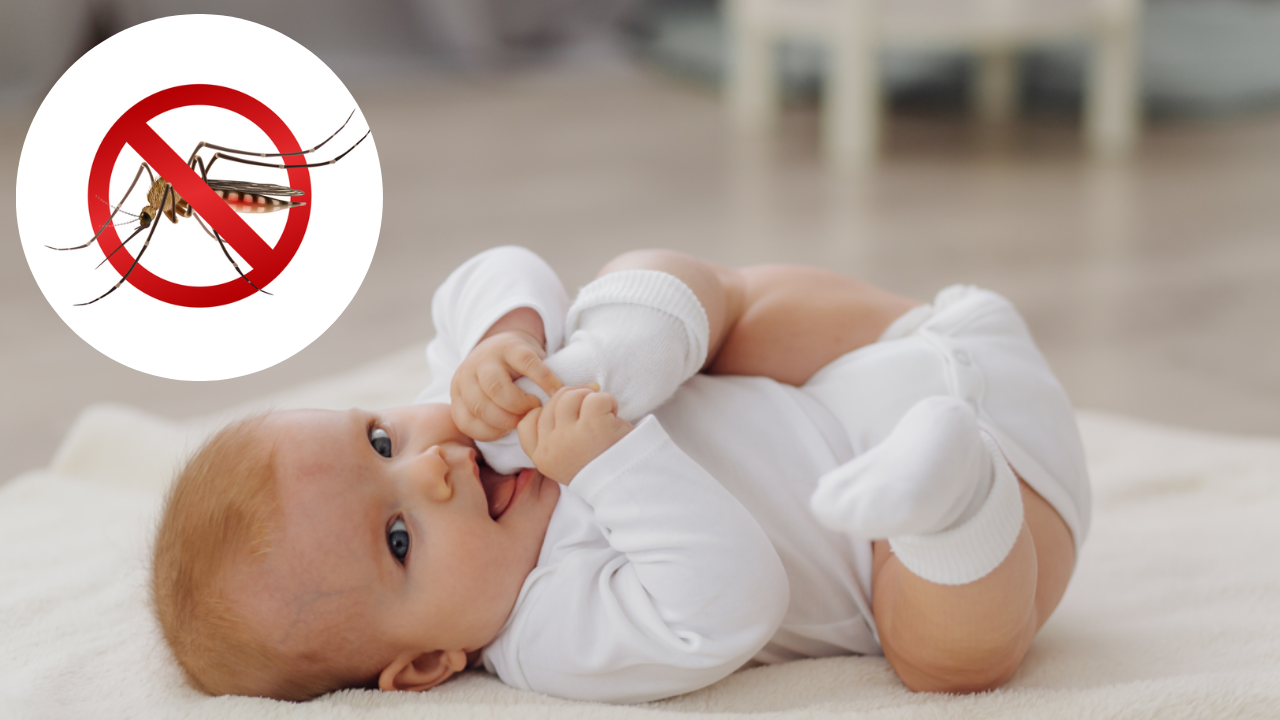 8 ways to protect your baby from mosquito bites. Pic Credit: Freepik