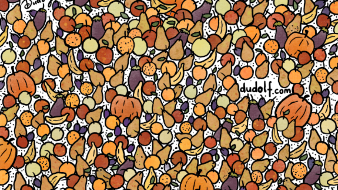 Optical illusion Test: Find the 3 hidden birds among the pile of fruits. Pic Credit: Gergley Dudas