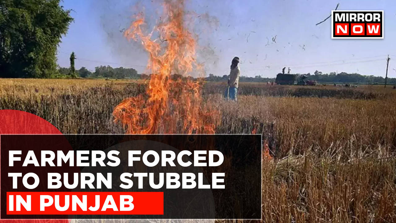 Delhi Ncr Braces For Smog Despite Efforts To Curb Farmers Forced To Do Stubble Burning Top 7137