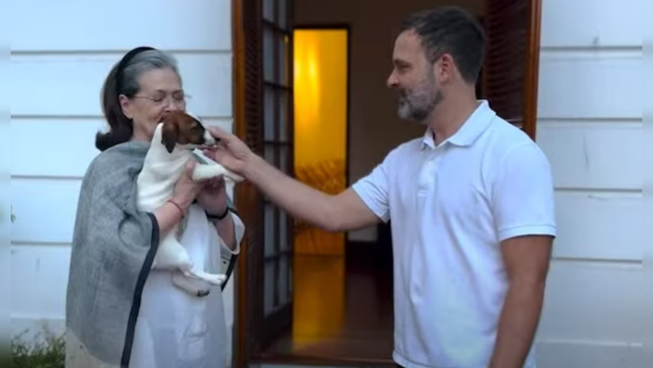 Rahul Gandhi Gets Pet 'Noorie' For Sonia Gandhi