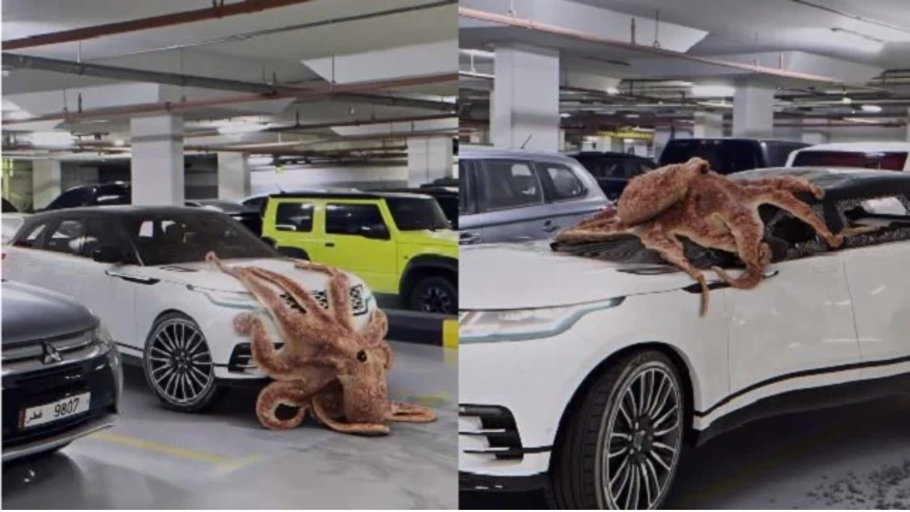 Qatar Car Park Octopus Video Fake or Real: Fact Check on Latest Viral Video  | Viral News, Times Now