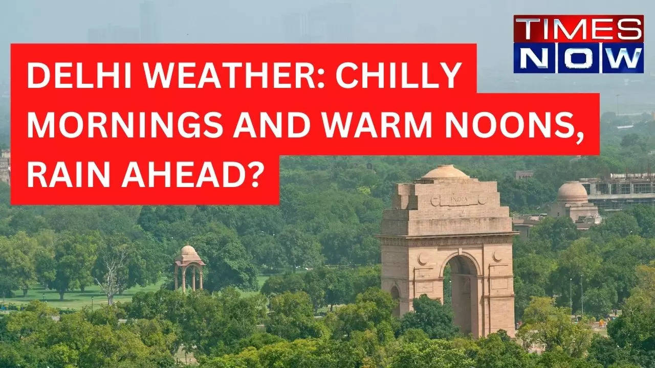 Delhi Weather Update Chilly Mornings, Warm Noon, Rain Ahead? Check 7