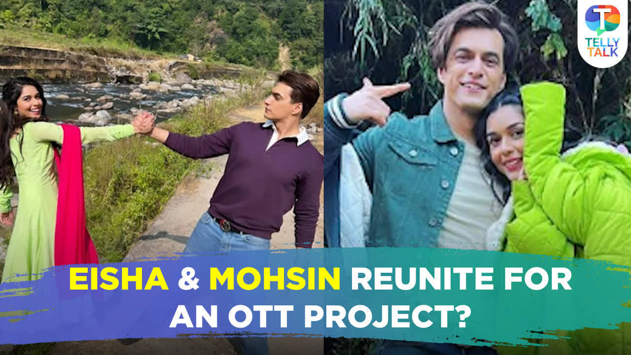 Are Mohsin Khan & Eisha Singh Collaborating on a New OTT Project? | TV News