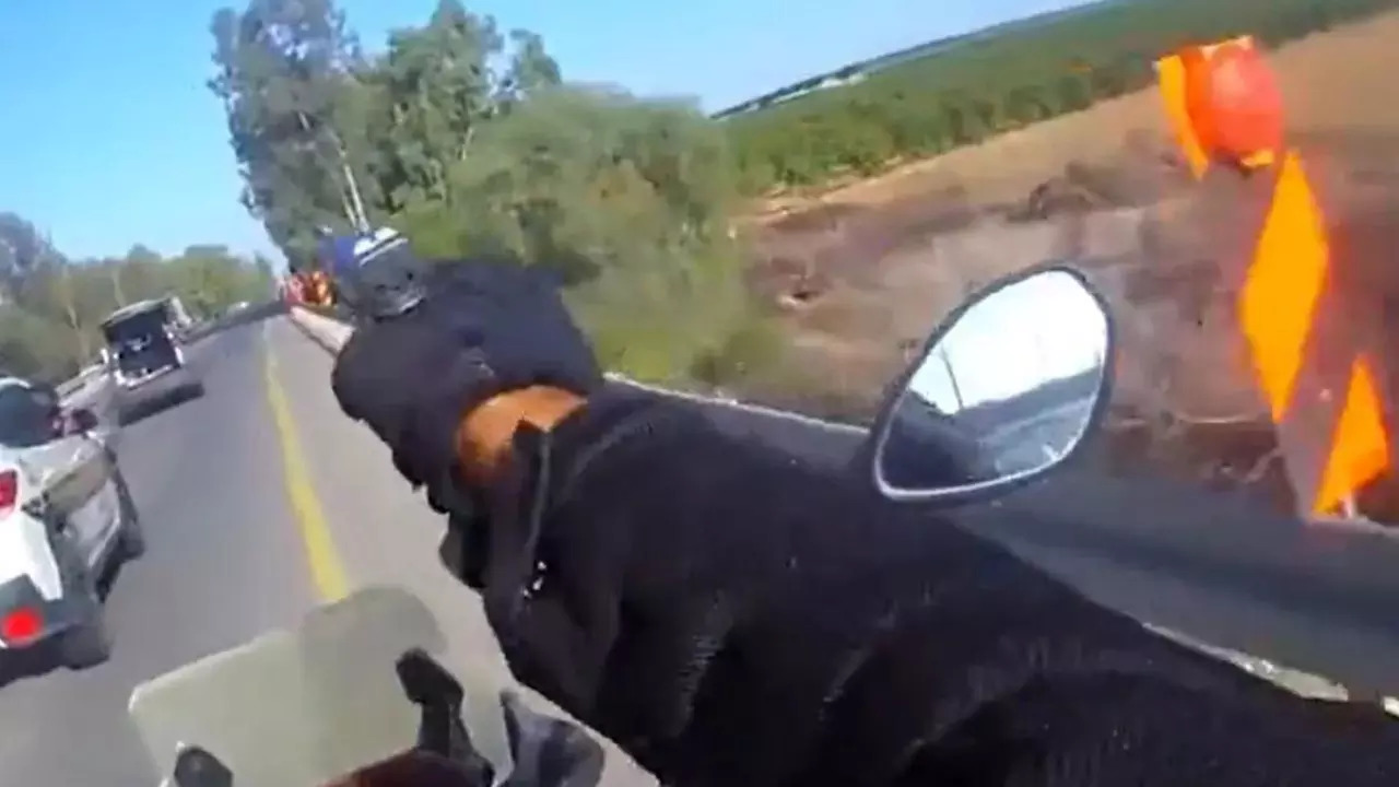 On The Brink: Israeli Cop Engages in High-Speed Pursuit of Hamas Operatives Near Gaza Border | VIDEO