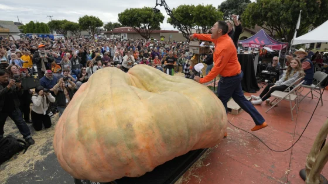 Travis Gienger of Anoka, Minn., reacts after winning the Safeway 50th annual World Championship Pumpkin Weigh-Off in Half Moon Bay, Calif.Eric Risberg / AP