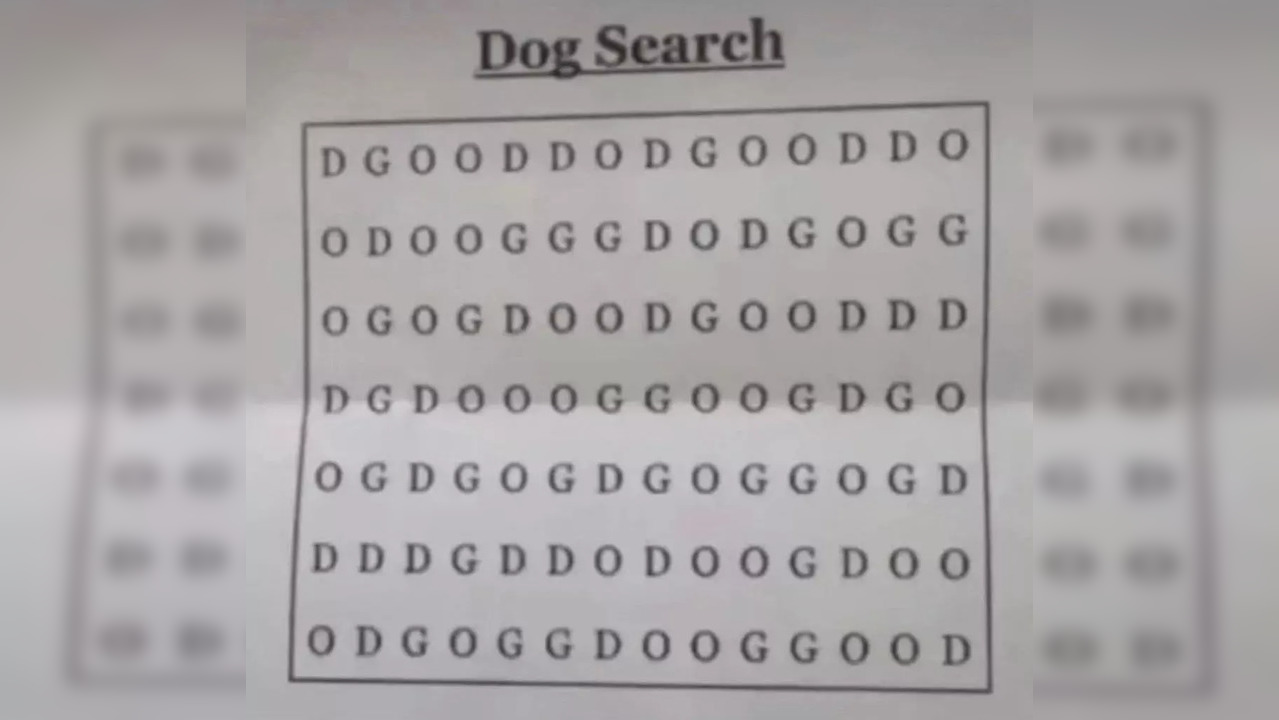 At least one of the combinations in the above puzzle forms the word 'dog'. | Obtained via social media