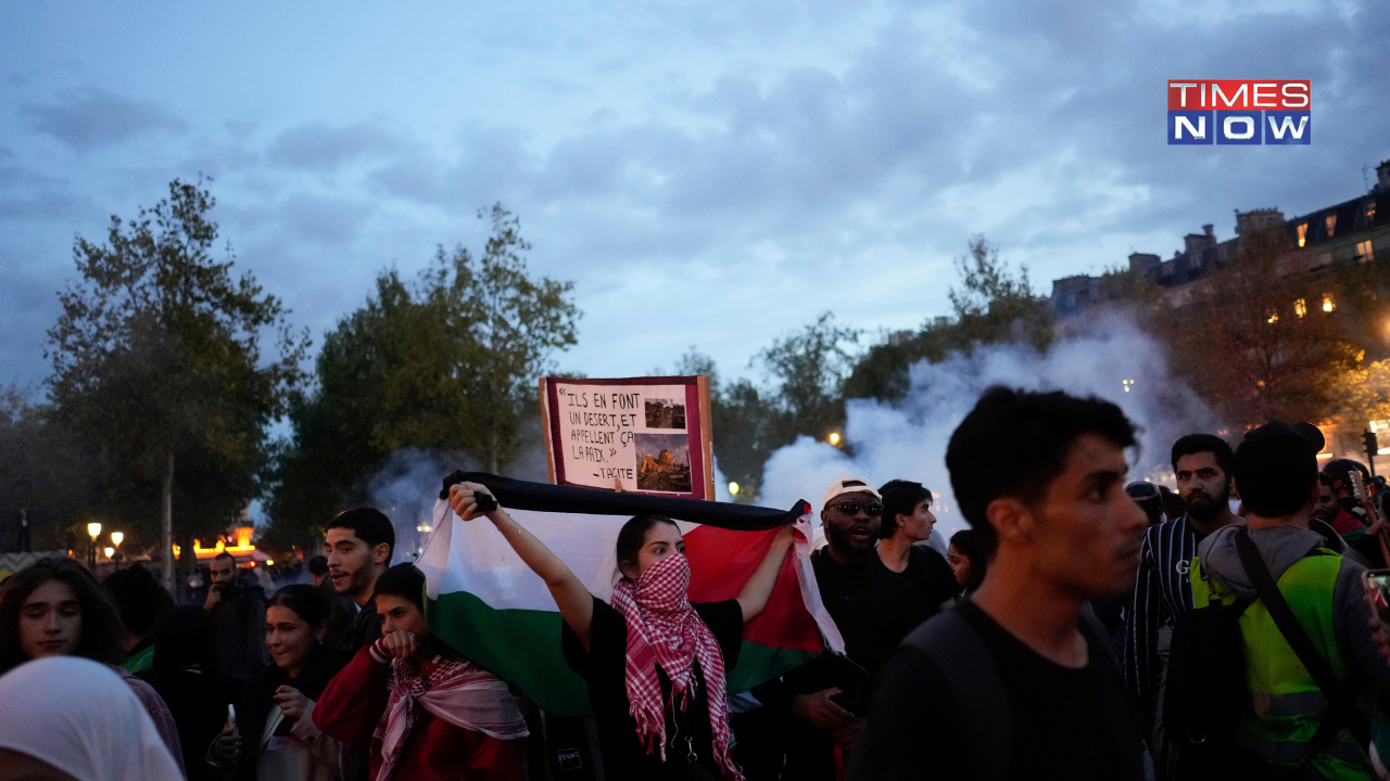 Pro-Palestine Protest Takes Place in France Hours After Ban, 10 Arrested