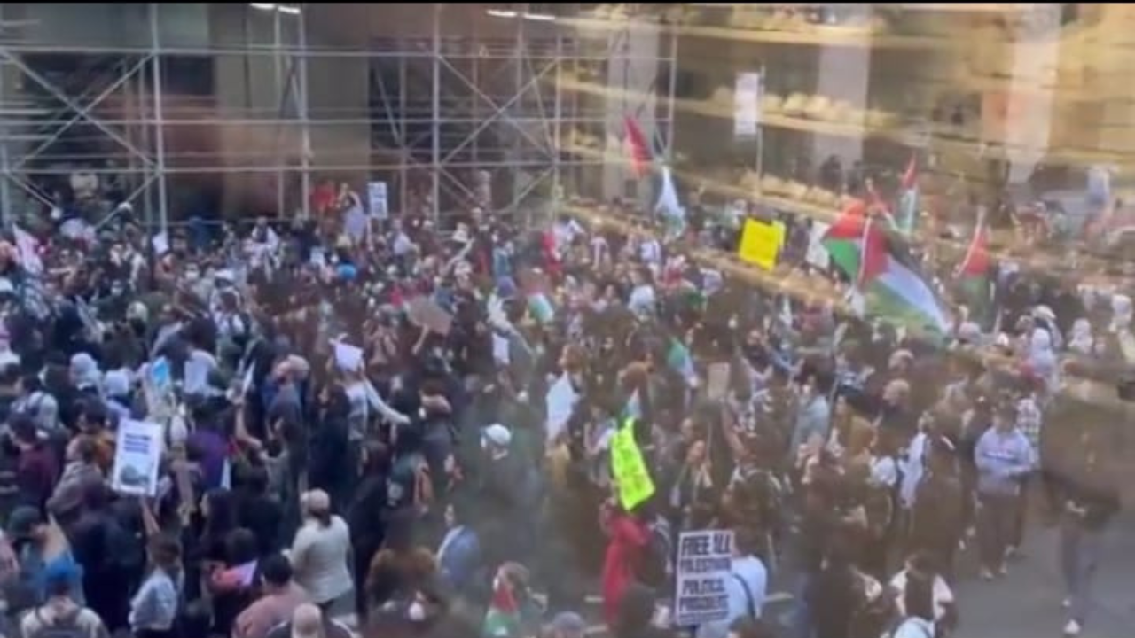 Pro-Palestine protests in New York City