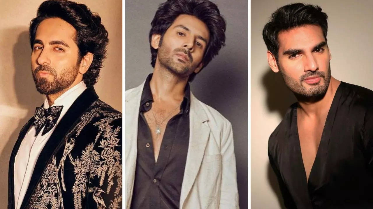 Who is replacing Kartik Aaryan in Border 2?