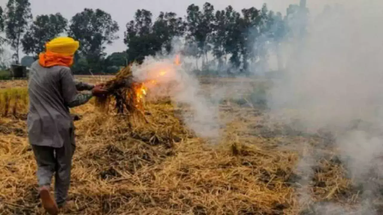 Stubble Burning