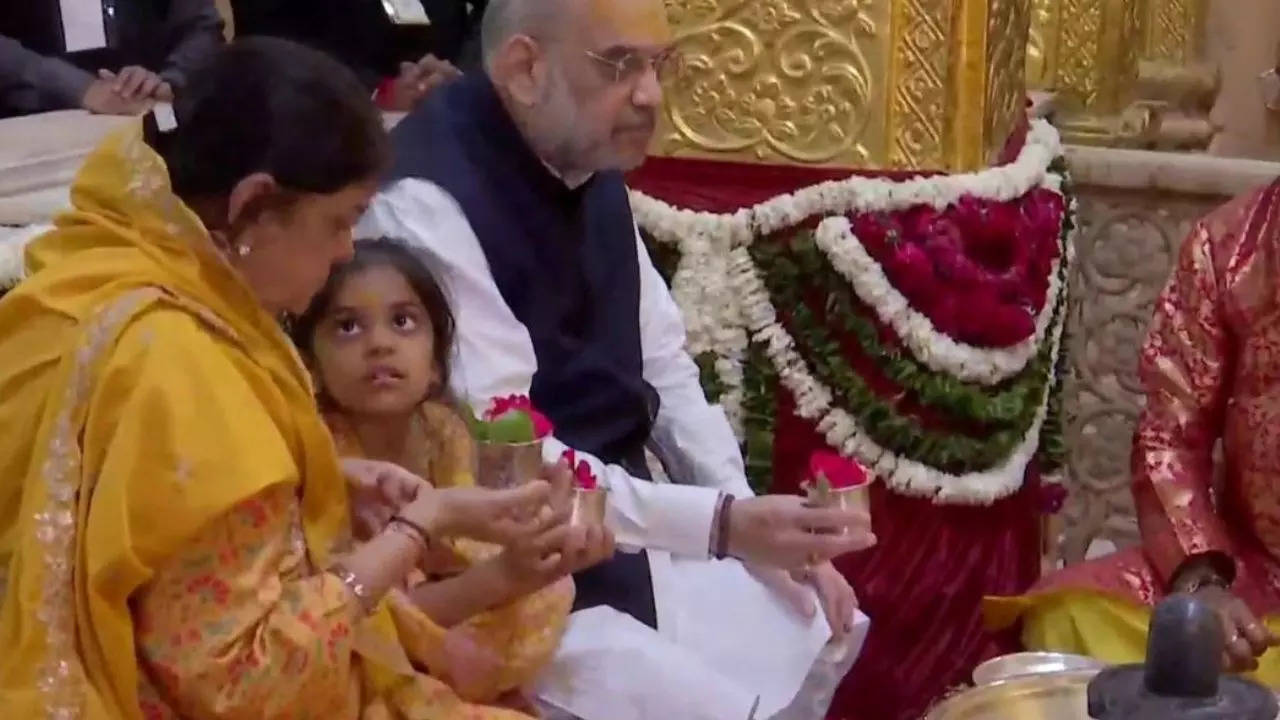 Amit Shah Family