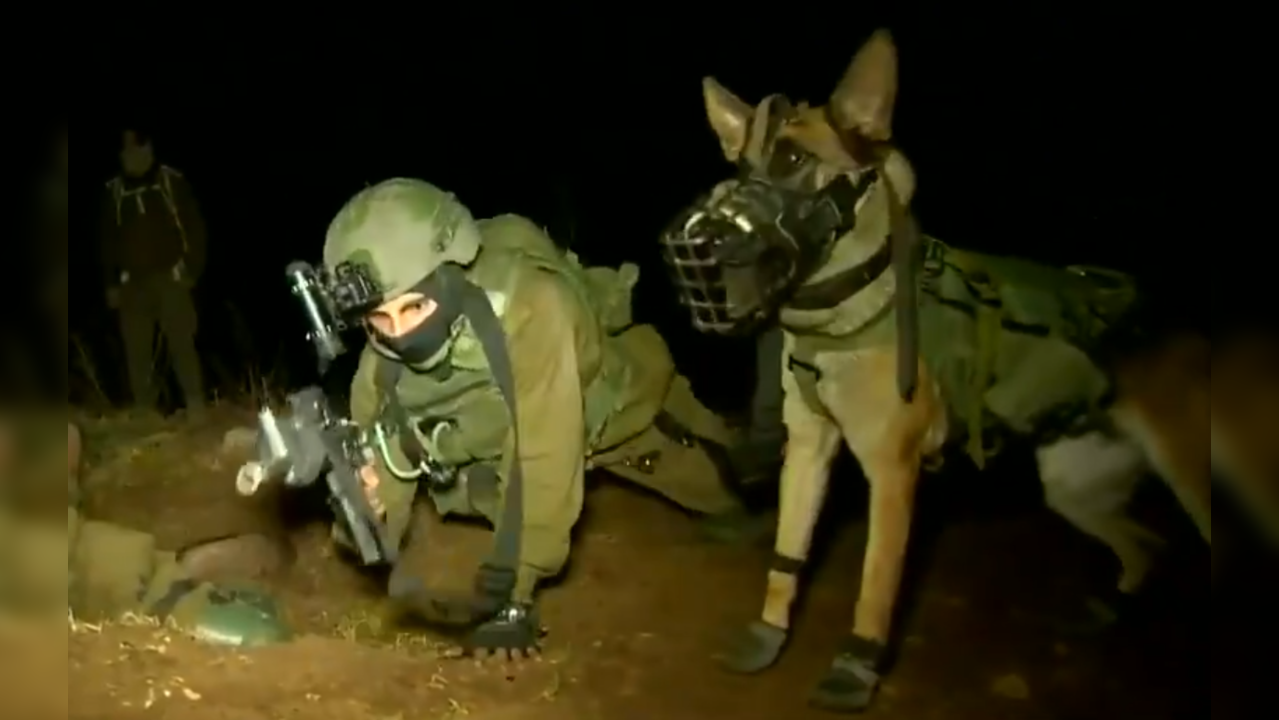 Oketz Special Forces Canine Unit IDF Israel Army