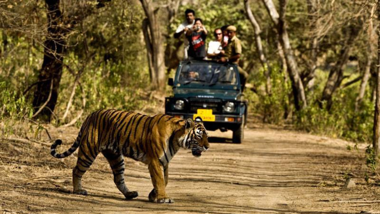 corbett tiger reserve