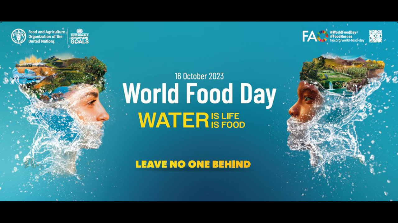 The slogan for World Food Day 2023, according to the UN, is: 'Water is life, water is food. Leave no one behind'