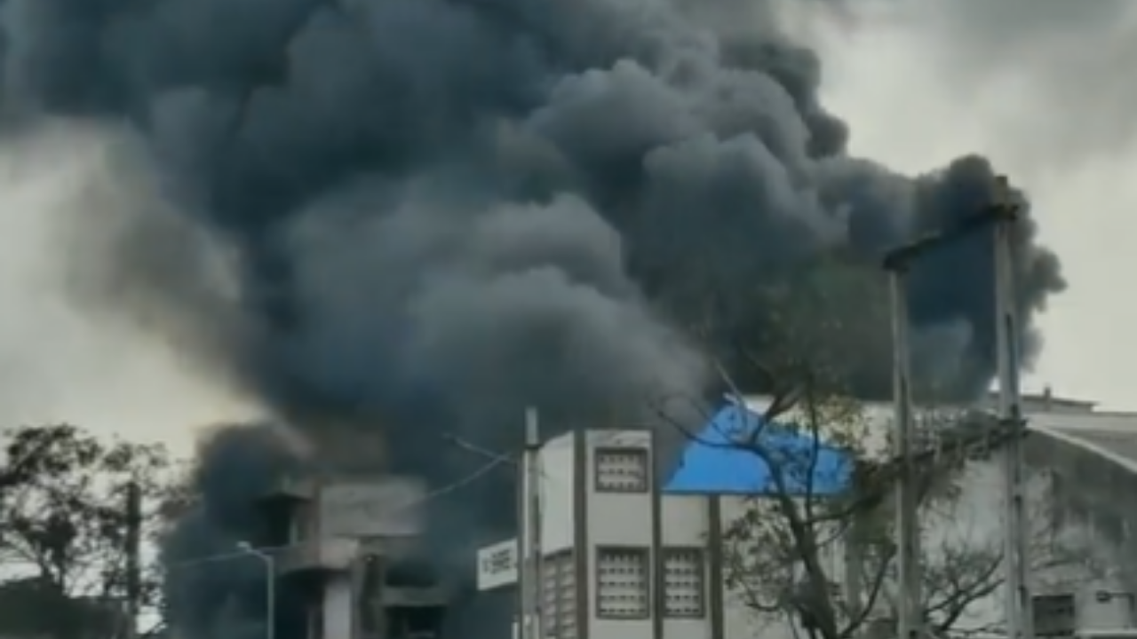 Gujarat: Massive Fire Erupts at Paints Company in Valsad | Video ...